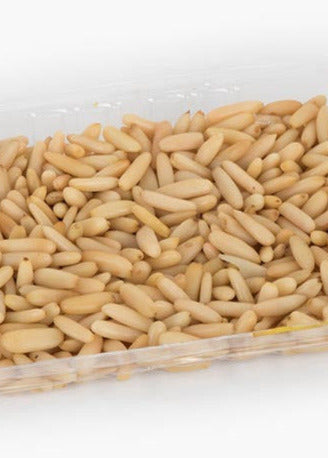 Pinenut  Kernels (200g)
